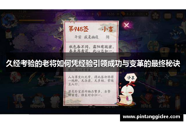 久经考验的老将如何凭经验引领成功与变革的最终秘诀