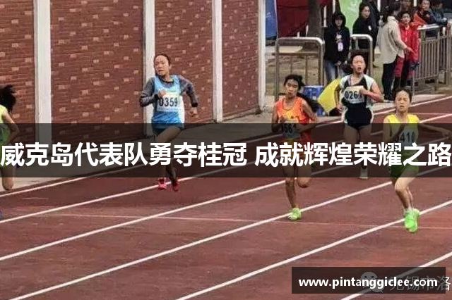 威克岛代表队勇夺桂冠 成就辉煌荣耀之路