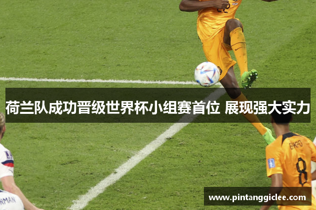 荷兰队成功晋级世界杯小组赛首位 展现强大实力