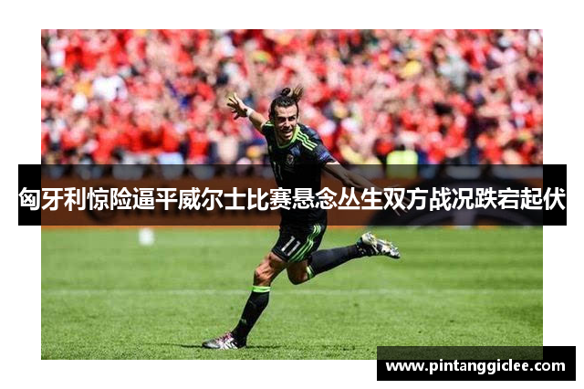 匈牙利惊险逼平威尔士比赛悬念丛生双方战况跌宕起伏