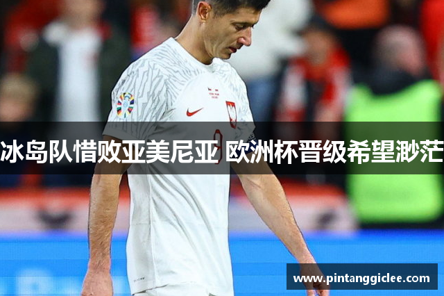 冰岛队惜败亚美尼亚 欧洲杯晋级希望渺茫