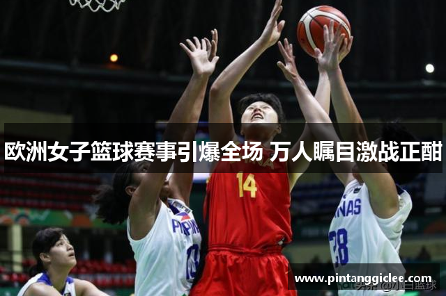 欧洲女子篮球赛事引爆全场 万人瞩目激战正酣