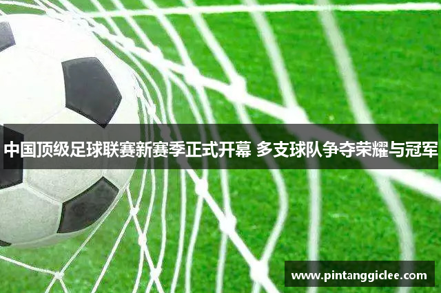 中国顶级足球联赛新赛季正式开幕 多支球队争夺荣耀与冠军