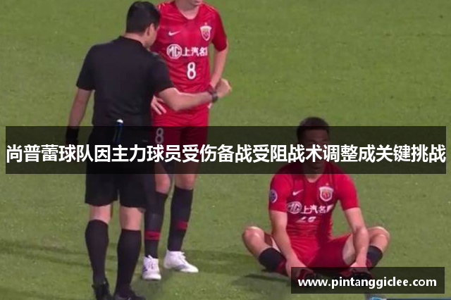 尚普蕾球队因主力球员受伤备战受阻战术调整成关键挑战
