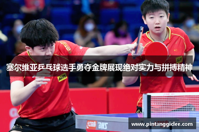 塞尔维亚乒乓球选手勇夺金牌展现绝对实力与拼搏精神