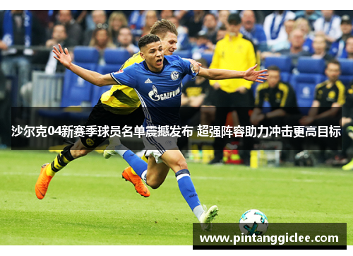 沙尔克04新赛季球员名单震撼发布 超强阵容助力冲击更高目标