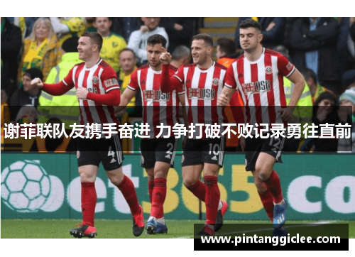 谢菲联队友携手奋进 力争打破不败记录勇往直前