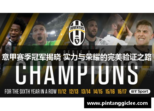 意甲赛季冠军揭晓 实力与荣耀的完美验证之路