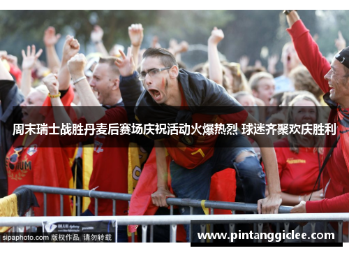 周末瑞士战胜丹麦后赛场庆祝活动火爆热烈 球迷齐聚欢庆胜利