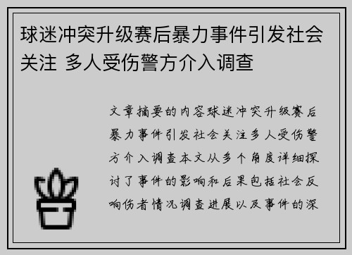 球迷冲突升级赛后暴力事件引发社会关注 多人受伤警方介入调查